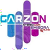 undefined garzon stereo