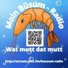 undefined Buesum Radio