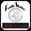 undefined radio-skala