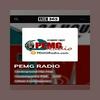 undefined PEMG Radio