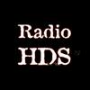 undefined Radio HDS
