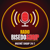 undefined Radio BisedoShqip