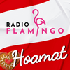 undefined Radio Flamingo Hoamat