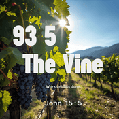 Rádio 93 5 The Vine