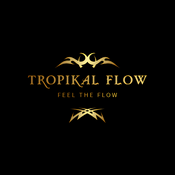 Rádio Tropikal Flow 971