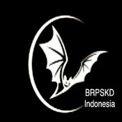 Rádio Bat Radio PSKD Indonesia