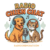 Rádio Radio Chien Chat