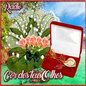 Rádio RADIO COR DOS TEUS OLHOS