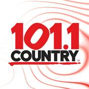 Rádio Country 101.1