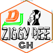 Rádio Dj Ziggy Bee pro