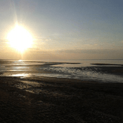 Rádio am-wasser-gebaut