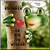 Rádio flip-flop-radio