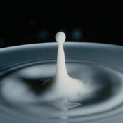Rádio milkdrop