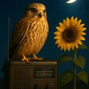 Rádio Nachtfalkin