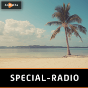 Rádio special-radio