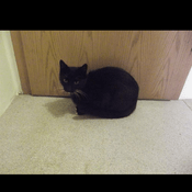 Rádio Trauminsel Radio