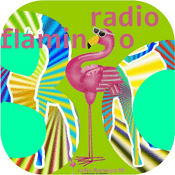 Rádio Radio Flamingo 80