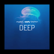 Rádio 100% Deep - Radios 100FM