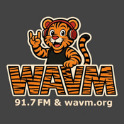 Rádio Tiger 91.7 WAVM