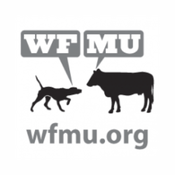 Rádio WMFU FM 91.1