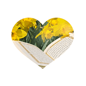 Rádio Women’s Wisdom Radio