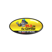 Rádio WZNF Gorilla 95.3 FM