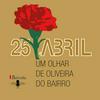 undefined 25 de Abril – Um Olhar de Oliveira do Bairro