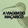 undefined A Viagem do Maçarico