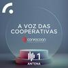 undefined A Voz das Cooperativas