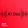 undefined A1 Doc