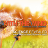 undefined With The Wind with Dr. Paul