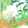 undefined Agrofloresta e Biodiversidade