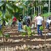 undefined Agrofloresta: Um Projeto Do Vale Do Ribeira
