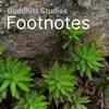 undefined Buddhist Studies Footnotes
