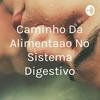 undefined Caminho Da Alimentaçao No Sistema Digestivo