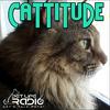 undefined Cattitude -  The #1 Cat Podcast