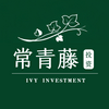 undefined 常青藤投资