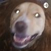 undefined Creepypasta Central
