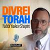 undefined Divrei Torah