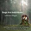 undefined Dogs Are Individuals