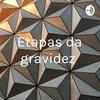 undefined Etapas da gravidez