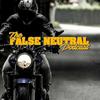 undefined False Neutral