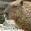 undefined Capybara voice