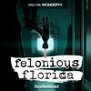 undefined Felonious Florida