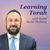 undefined Learning Torah with Rabbi Sariel Malitzky