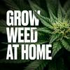 undefined Grow Weed at Home