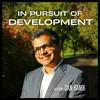 undefined In Pursuit of Development