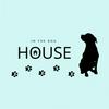 undefined In The Dog House