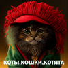 undefined Meow Radio