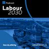 undefined Labour 2030